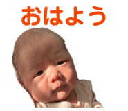 844628411