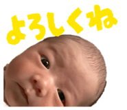 844628412