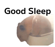844629354