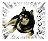 844629364