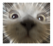 844629438