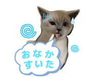 844629445