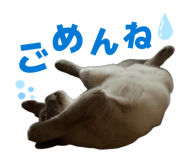 844629456