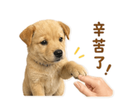 844648034