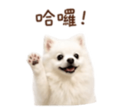 844649305