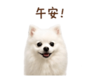 844649307