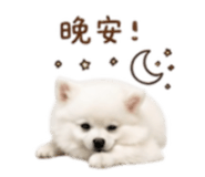 844649308