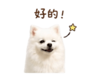 844649311