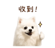 844649312