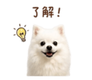 844649313