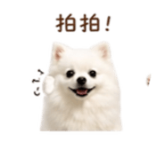 844649318
