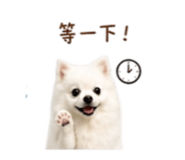 844649322