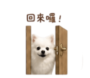 844649325