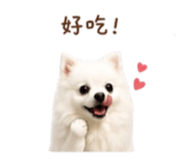 844649328