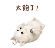 844649329