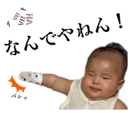 844650243