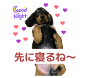 844650254