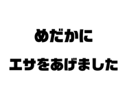 844650257