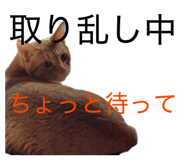 844650474