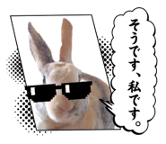 844650570