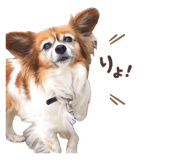 844650626