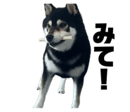 844650673