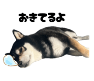 844650674