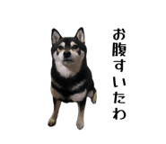 844650676