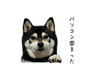 844650677