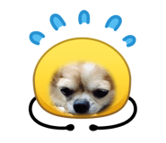 844650686