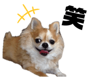 844650689