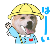 844650691