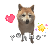 844650993