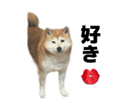 844650997