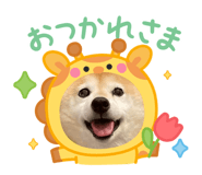 844651000