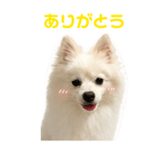 844651233