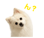 844651237