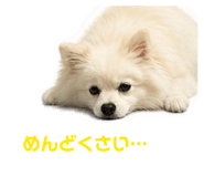 844651240