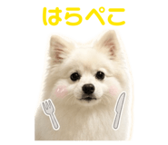 844651241