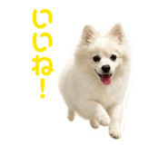 844651242