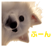 844651244
