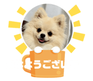 844651264