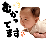 844651281