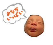 844651293