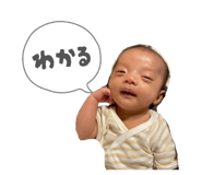 844651313