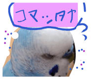 844651386
