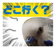 844651388
