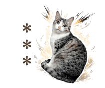 844652538