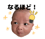 844654425