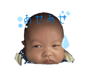 844654437